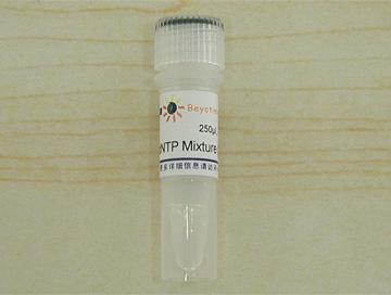 dNTP Mixture (25mM each)